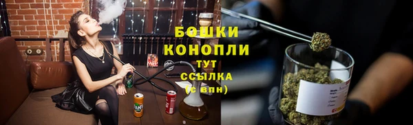 амф Дмитров