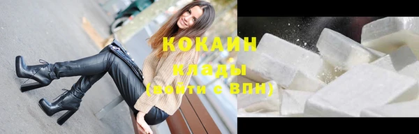 амф Дмитров