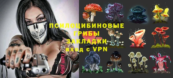 экстази Гусь-Хрустальный