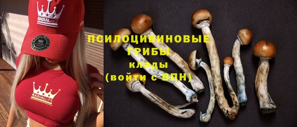 экстази Гусь-Хрустальный