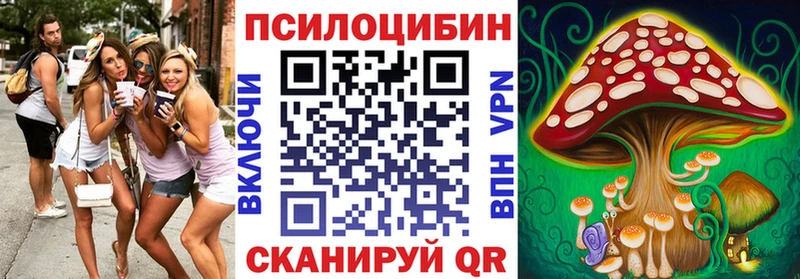 дарнет шоп Мценск Галлюциногенные грибы мухоморы