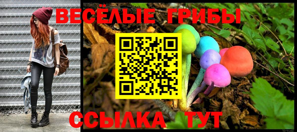 Галлюциногенные грибы Psilocybe Мценск